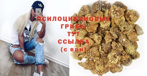 mdpv Каменка