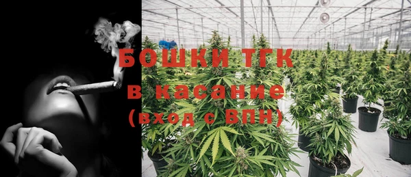 mdpv Каменка