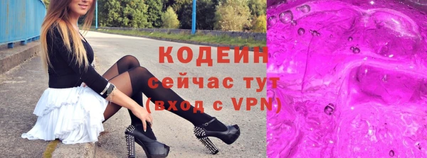соль ск Каменногорск