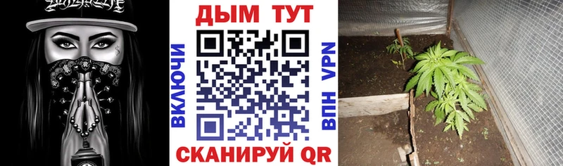 как найти закладки  Котельниково  Канабис SATIVA & INDICA 